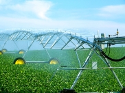 tl-center-pivot-irrigating