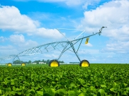 tl-center-pivot-irrigation